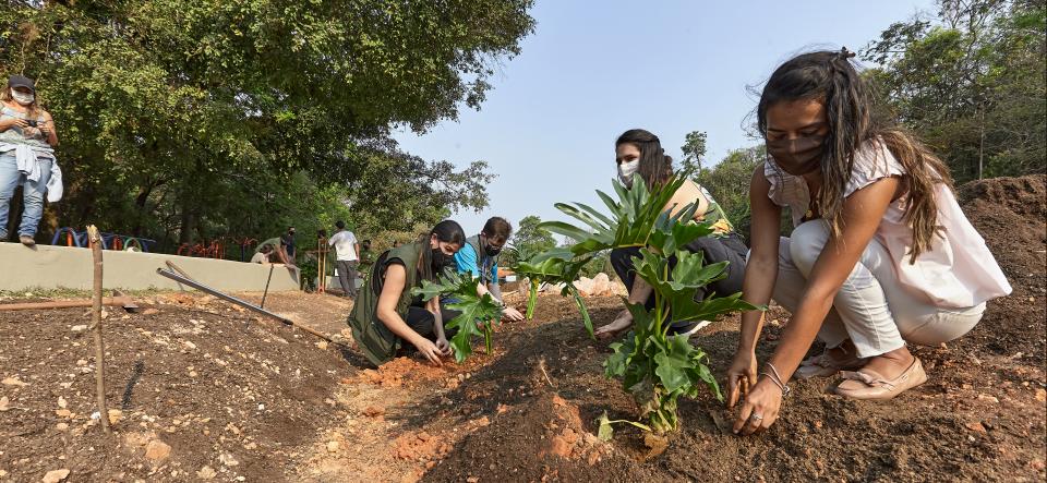 Brazil co production 